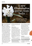 A new Rhododendron species from India