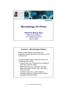 Microbiology 101 Primer