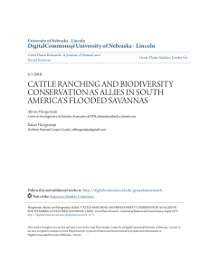 cattle ranching and biodiversity conservation as allies in south