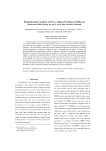 Hydrodynamic Analysis of Wave–induced Nonlinear Motion of