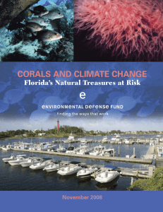 corals and climate change - Environmental Defense Fund