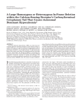 A Large Homozygous or Heterozygous In