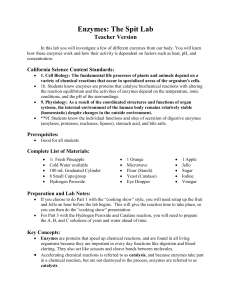 Enzymes: The Spit Lab