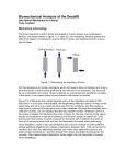 Biomechanical Analysis of the Deadlift