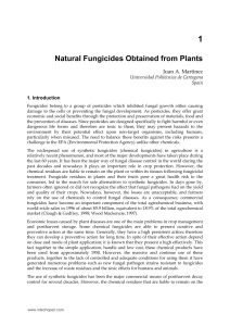 Natural Fungicides Obtained from Plants