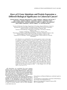Have p53 gene mutations and protein expression a