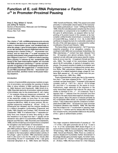 Function of E. coli RNA Polymerase Factor 70 in