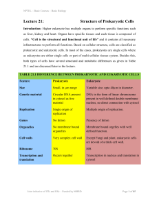 Lecture 21: Structure of Prokaryotic Cells