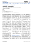 Stochasticity in the symmetric division of plant cells