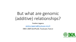 But what are genomic (additive) relationships?