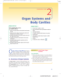 Organ Systems and Body Cavities