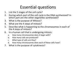 Mitosis Essential Questions