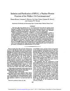 Isolation and Purification of RP2-L, a Nuclear Protein Fraction of the