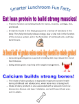 Proteins function as building blocks for bones