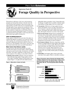 Forage Quality in Perspective