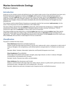 Marine Invertebrate Zoology