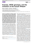 Exercise, APOE genotype, and the evolution of the human lifespan