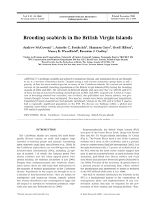 Breeding seabirds in the British Virgin Islands