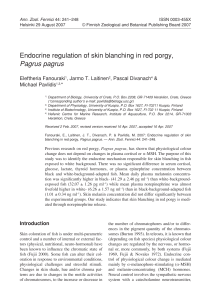 Endocrine regulation of skin blanching in red porgy, Pagrus