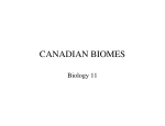 canadian biomes - hrsbstaff.ednet.ns.ca