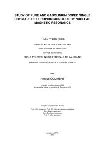 Texte intégral / Full text (pdf, 1 MiB) - Infoscience