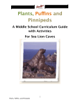 Plants, Puffins and Pinnipeds