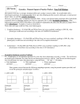 Codominance Worksheet