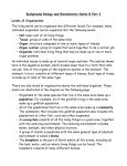 Background Biology and Biochemistry Notes B Part 2 Levels of