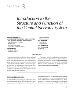 to view: Introduction to the Structure and Function of the Central