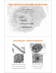 Open questions in the origin of eukaryotes