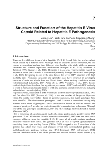 7 Structure and Function of the Hepatitis E Virus Capsid Related to