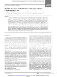 STAT3 Is Necessary for Proliferation and Survival in Colon Cancer