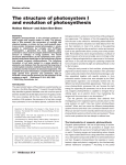 The structure of photosystem I and evolution of photosynthesis