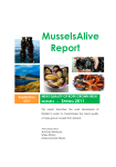 MusselsAlive Report