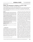 FPSAC: fast phylogenetic scaffolding of ancient contigs