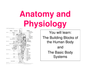 You will learn: The Building Blocks of the Human Body and The