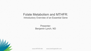 Folate Metabolism and MTHFR