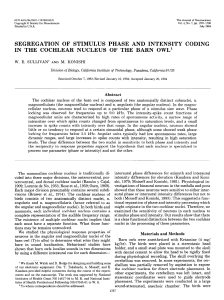 Abstract The cochiear nucleus of the barn owl is composed of two