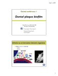 Dental plaque biofilm
