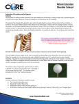 Explanation of Procedure and/or Diagnosis Anatomy The shoulder