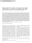 Hippocampal CA1 atrophy and synaptic loss during