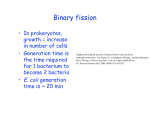 Binary fission