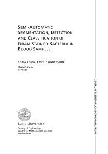 semi-automatic segmentation, detection and classification of gram