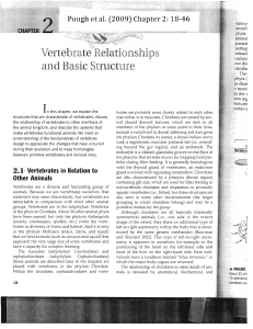 Vertebrate$`Relationships