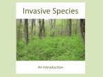 Invasive Species - Seeking the Greatest Good
