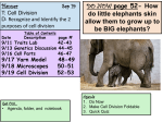 Purposes of Cell Division