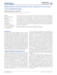 Reproduction and the pheromonal regulation of sex type in fern