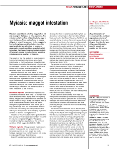 Myiasis: maggot infestation