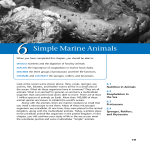 06/Simple Marine Animals
