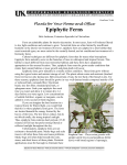 Epiphytic Ferns - University of Kentucky